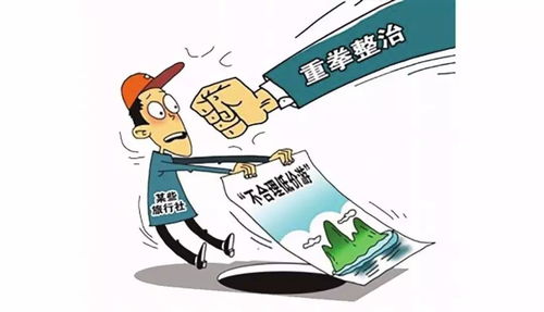 315消费者权益日,两会代表委员对旅游市场秩序整治怎么看