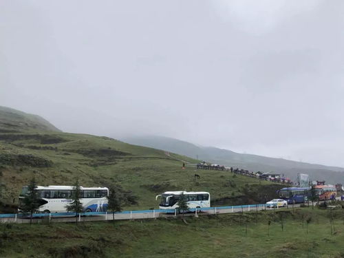 乌蒙大草原景区旅游接待工作有序进行,黄金周旅游服务亮点闪烁