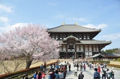中国旅游团在日本遭地接“甩团” 入境旅游业务的挑战与反思