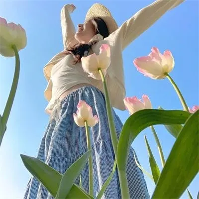 【高分生活剧】《西瓜》小林聪美市川实日子：四个不同性格的女人在合租屋里的清凉夏日，治愈神作